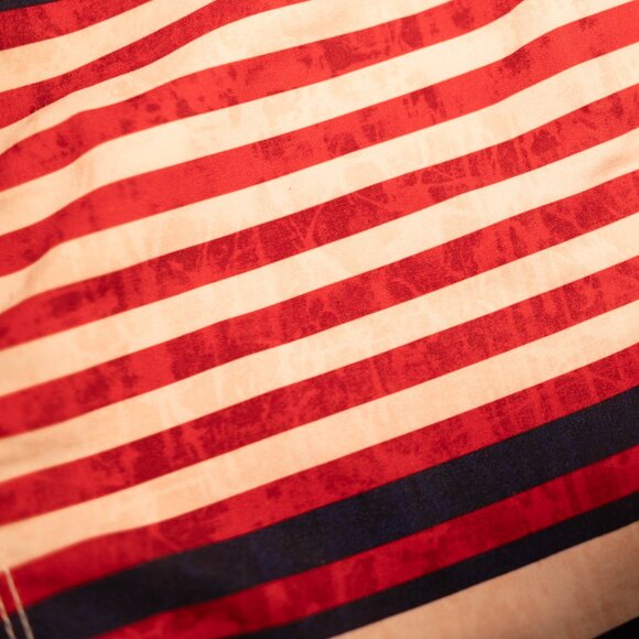 CLEARANCE Sperry Top-Sider Board Shorts Swim Trunks Striped Red Navy Size 30 - Picture 6 of 6